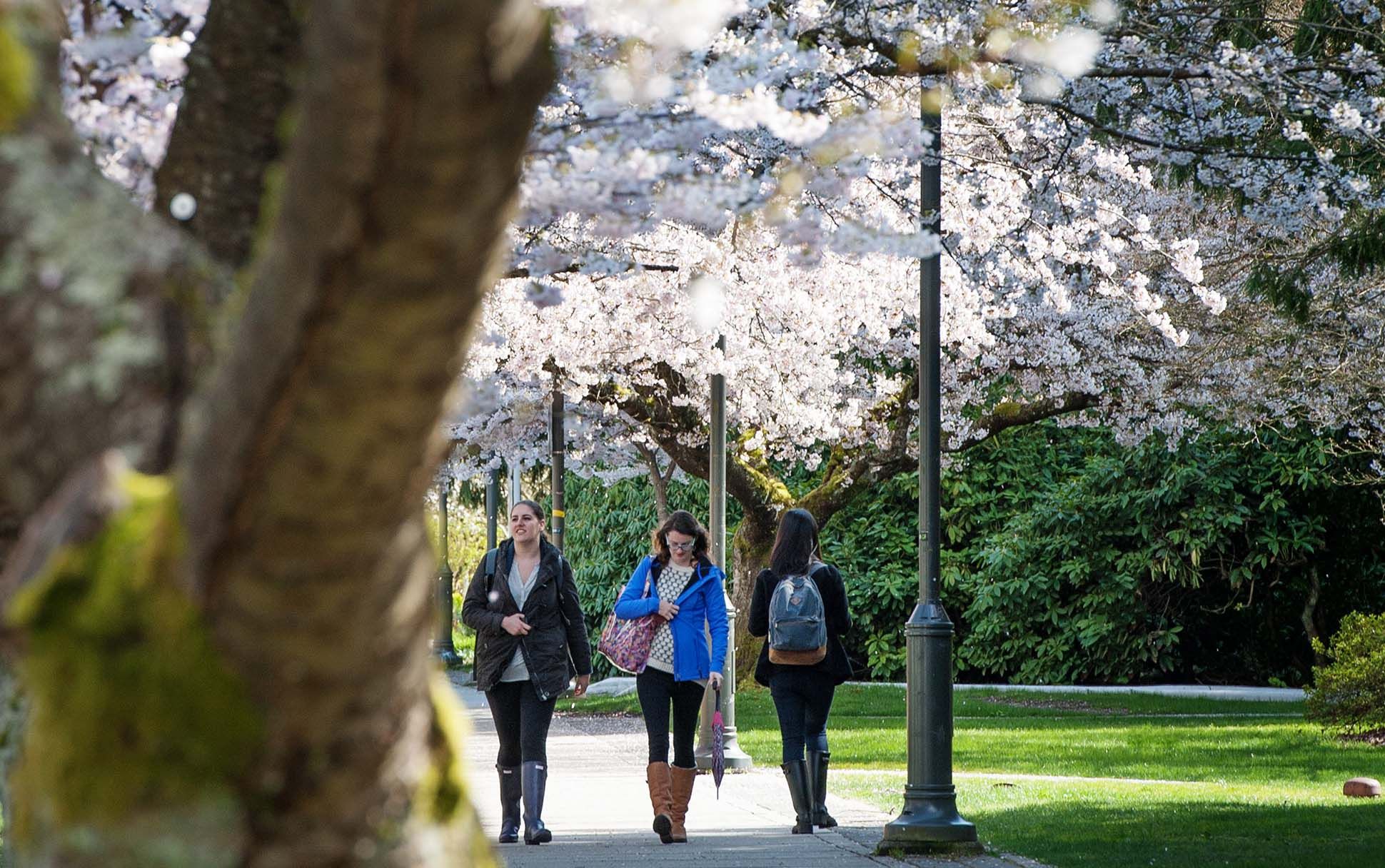 Campus.jpg