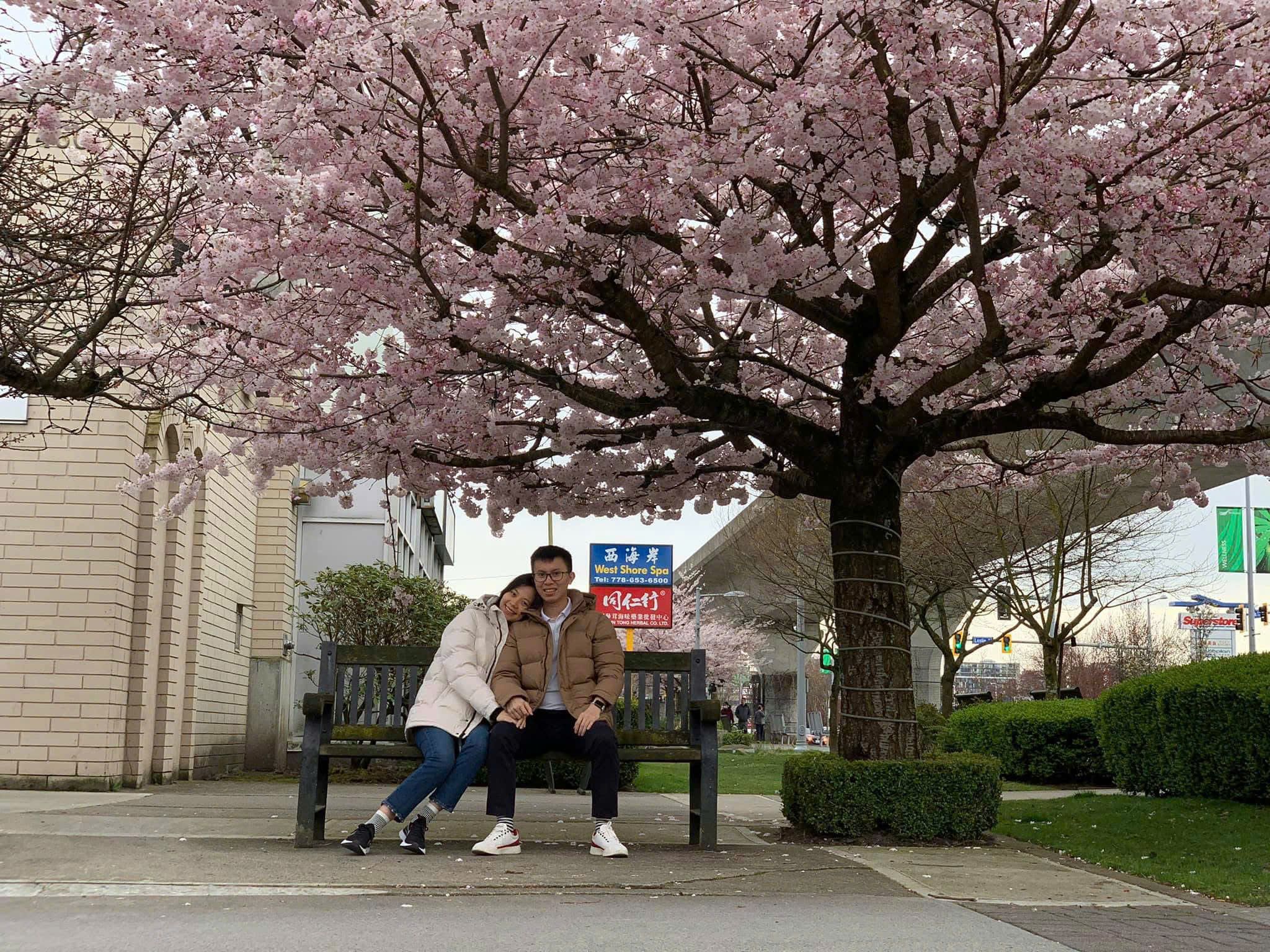10 Best Places to See Cherry Blossoms in Vancouver - My Personal Journey