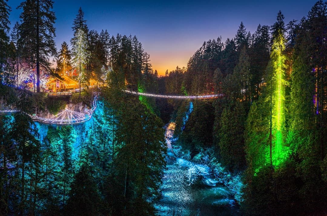 canyon-lights-capilano-suspension-bridge.jpg