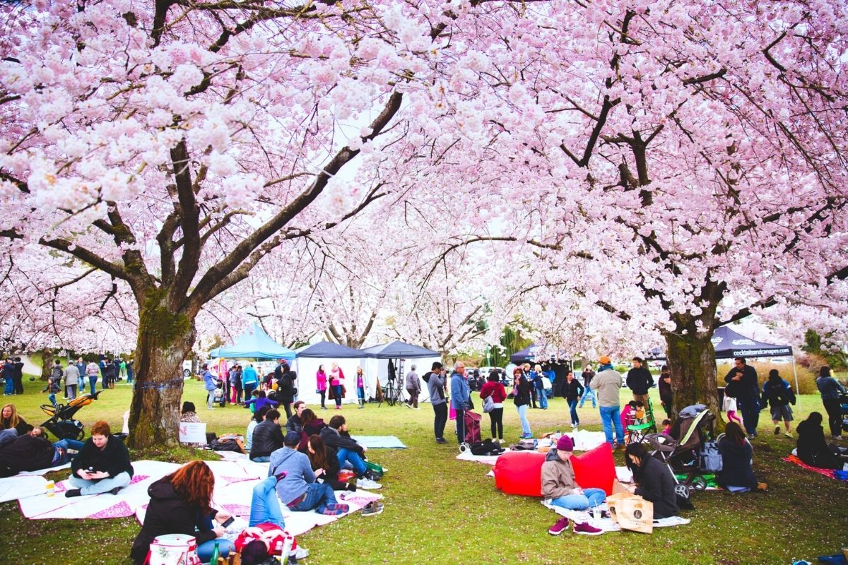 david-lam-park 1.jpg