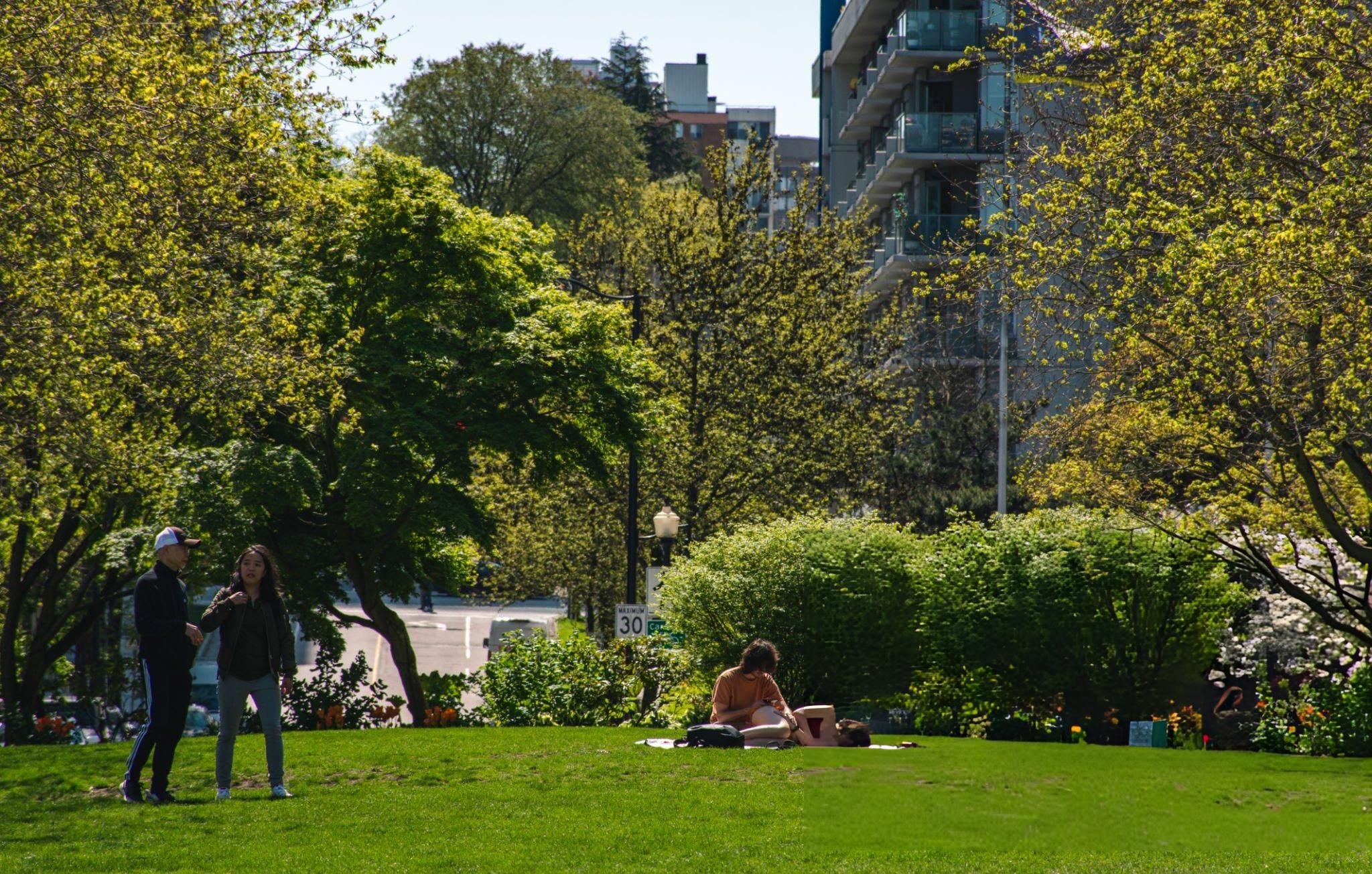 Couples relaxing on a grassy park lawn in Vancouver on a calm afternoon