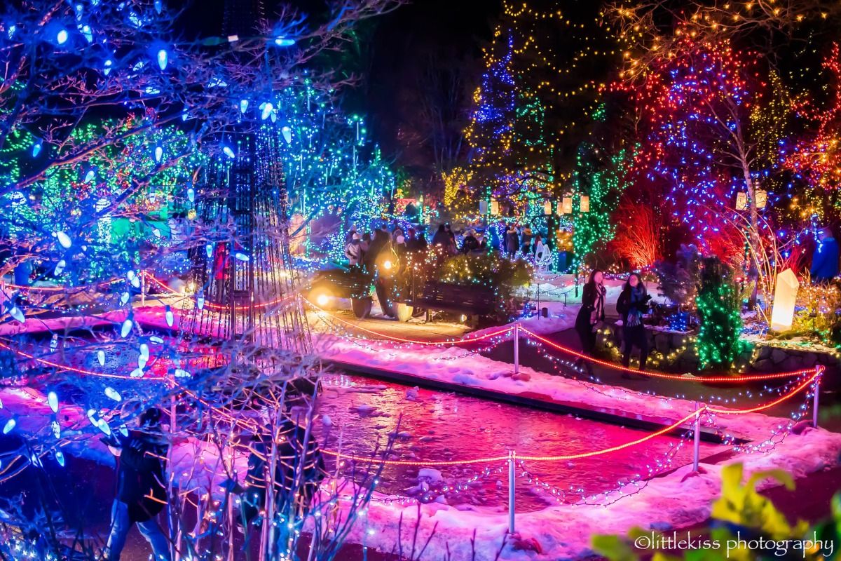 vandusen_festival_of_lights.jpg